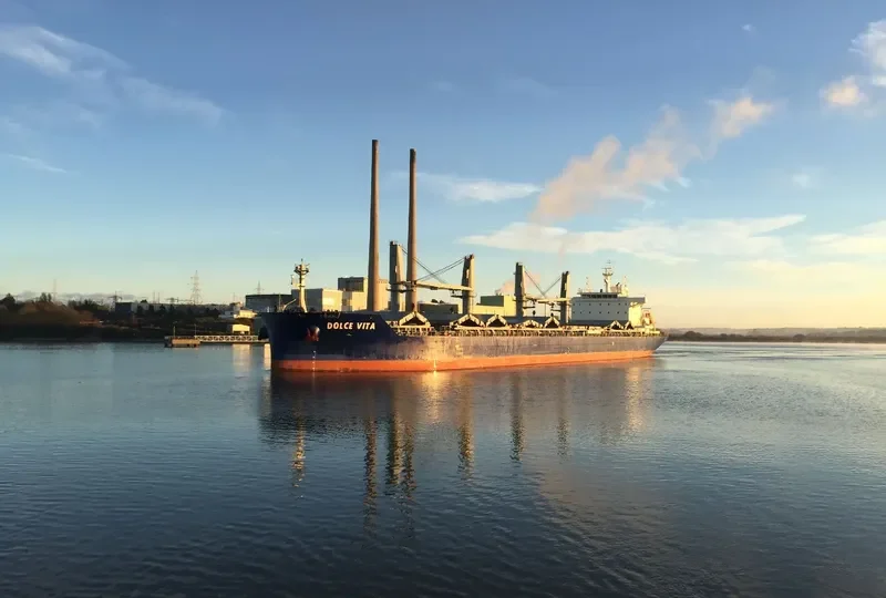 DOLCE VITA Bulk Carrier IMO 9697155 photo 9