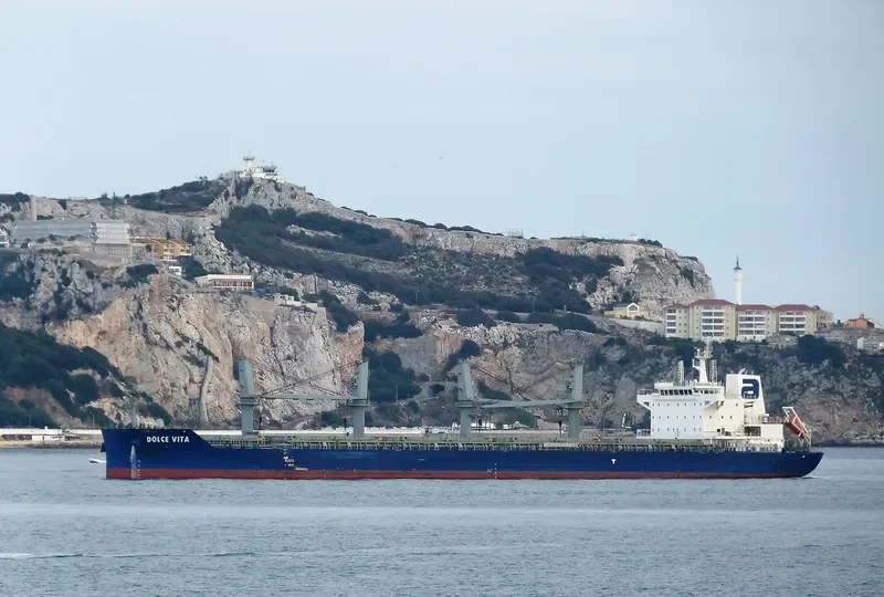 DOLCE VITA Bulk Carrier IMO 9697155 photo 10