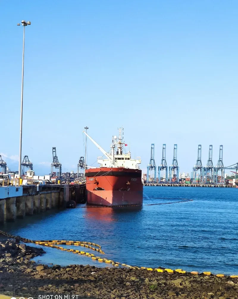 B.PACIFIC General Cargo IMO 9697296 photo 7