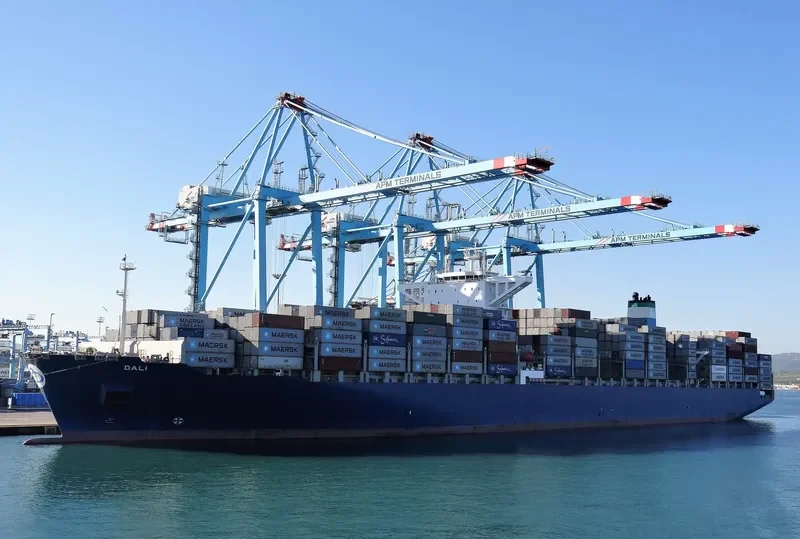 DALI Container Ship IMO 9697428 photo 10