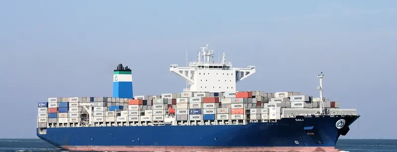 DALI Container Ship IMO 9697428 photo 29