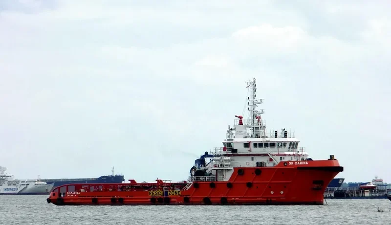 SK CARINA Offshore Vessel IMO 9697777 photo 2