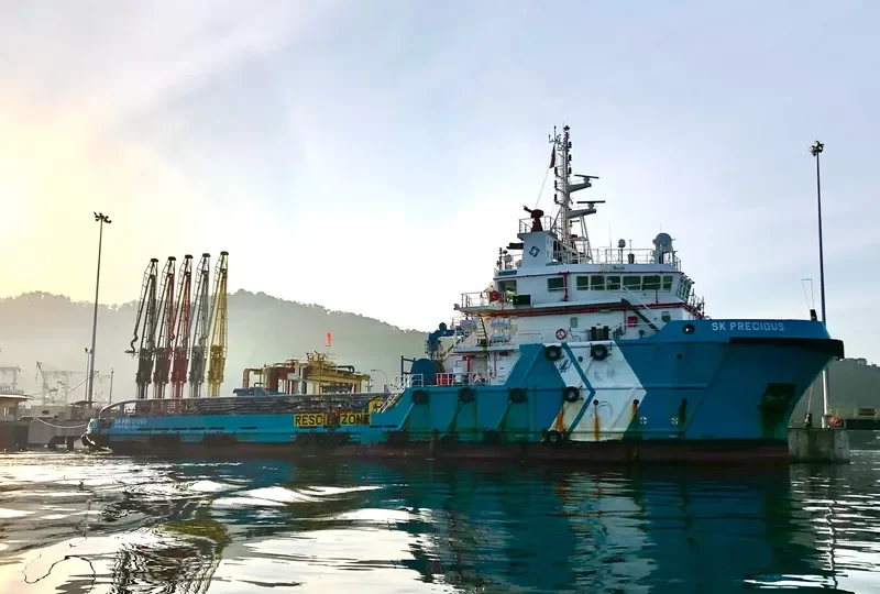 SK PRECIOUS Multi-Purpose Vessel IMO 9697789 photo 2