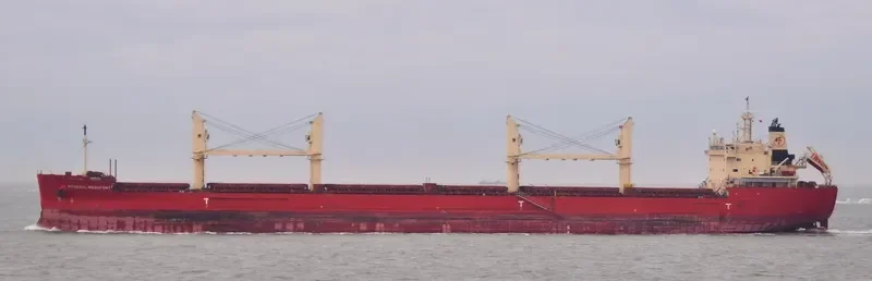 FEDERAL BEAUFORT Bulk Carrier IMO 9697818
