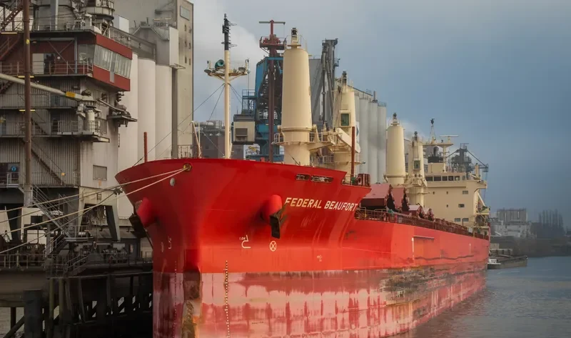 FEDERAL BEAUFORT Bulk Carrier IMO 9697818 photo 2