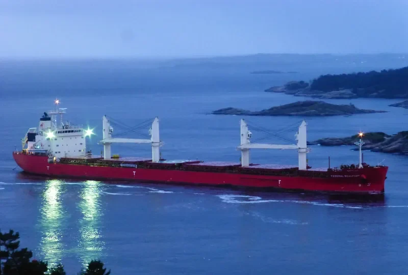 FEDERAL BEAUFORT Bulk Carrier IMO 9697818 photo 3