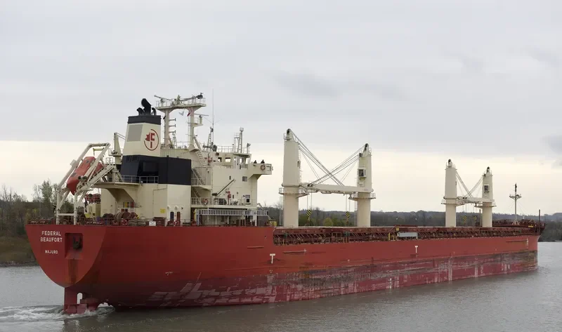 FEDERAL BEAUFORT Bulk Carrier IMO 9697818 photo 5