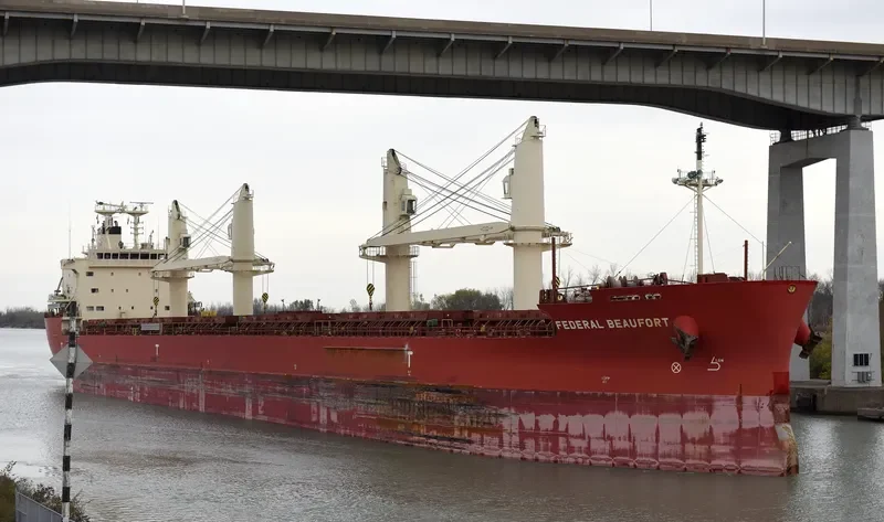FEDERAL BEAUFORT Bulk Carrier IMO 9697818 photo 6