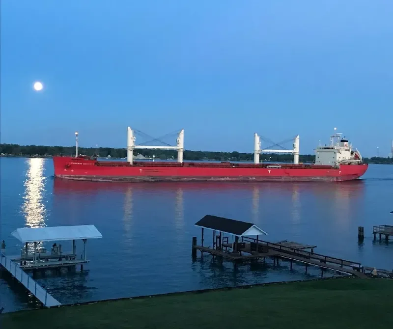 FEDERAL BARENTS Bulk Carrier IMO 9697820 photo 4