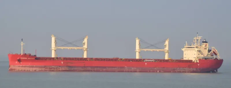 FEDERAL BARENTS Bulk Carrier IMO 9697820 photo 8