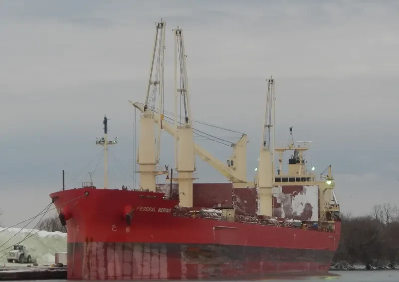 FEDERAL BERING Bulk Carrier IMO 9697832 photo 6