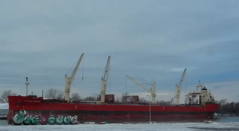 FEDERAL BERING Bulk Carrier IMO 9697832 photo 7