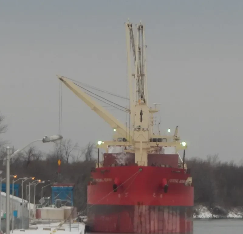 FEDERAL BERING Bulk Carrier IMO 9697832 photo 8