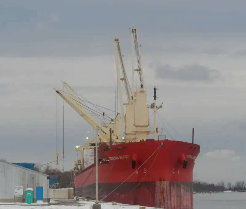 FEDERAL BERING Bulk Carrier IMO 9697832 photo 9