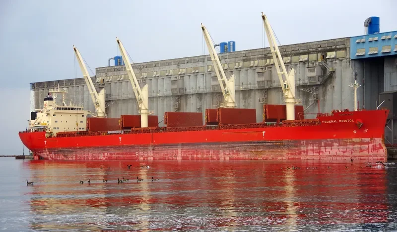 FEDERAL BRISTOL Bulk Carrier IMO 9697844