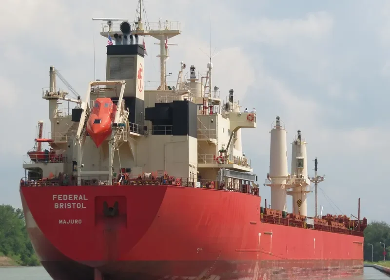 FEDERAL BRISTOL Bulk Carrier IMO 9697844 photo 3