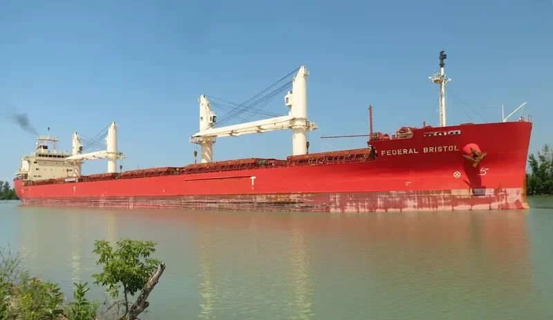 FEDERAL BRISTOL Bulk Carrier IMO 9697844 photo 5