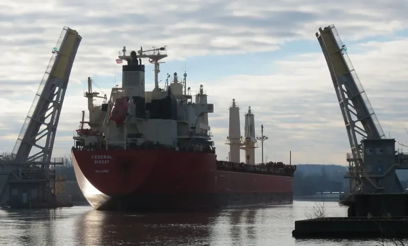 FEDERAL BISCAY Bulk Carrier IMO 9697856