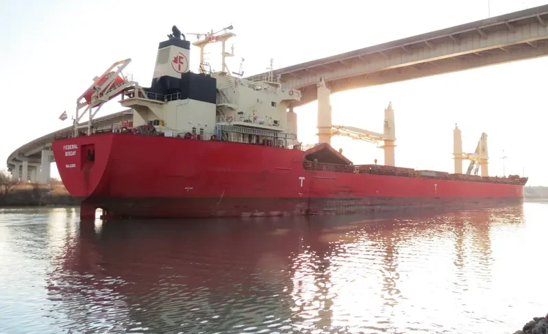 FEDERAL BISCAY Bulk Carrier IMO 9697856 photo 2