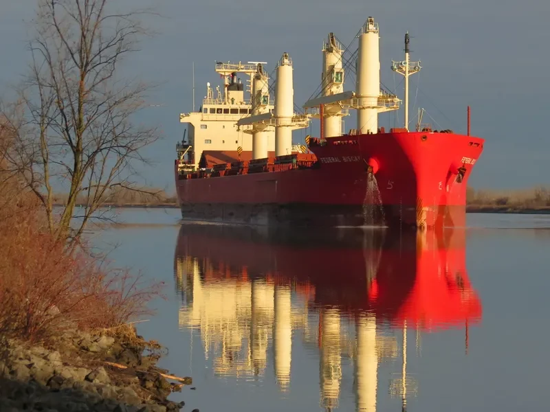 FEDERAL BISCAY Bulk Carrier IMO 9697856 photo 4