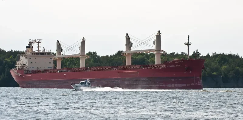 FEDERAL BISCAY Bulk Carrier IMO 9697856 photo 6