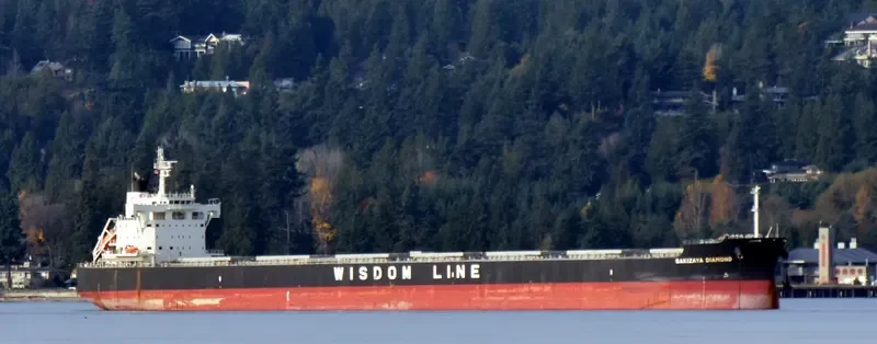 SAKIZAYA DIAMOND Bulk Carrier IMO 9697868