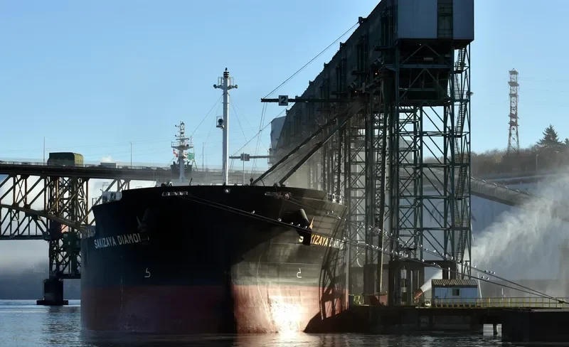 SAKIZAYA DIAMOND Bulk Carrier IMO 9697868 photo 2