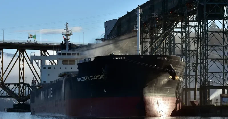 SAKIZAYA DIAMOND Bulk Carrier IMO 9697868 photo 3