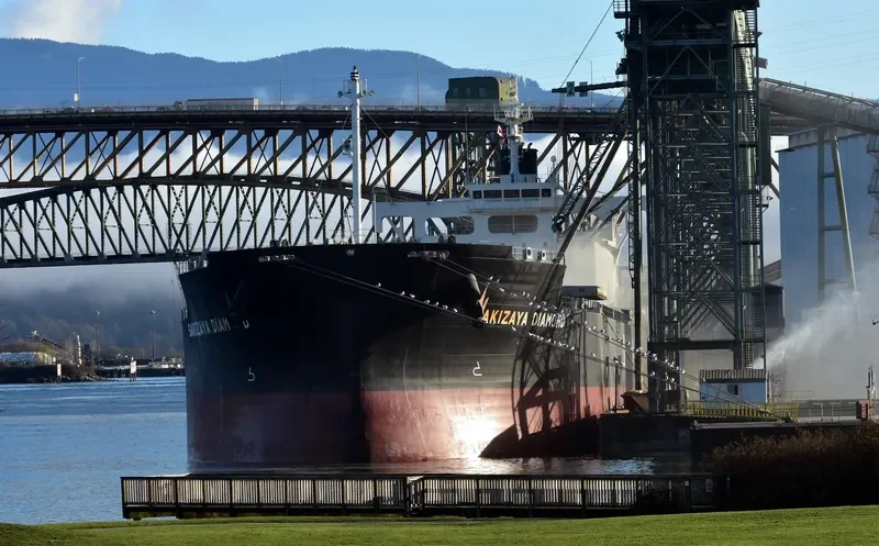 SAKIZAYA DIAMOND Bulk Carrier IMO 9697868 photo 4