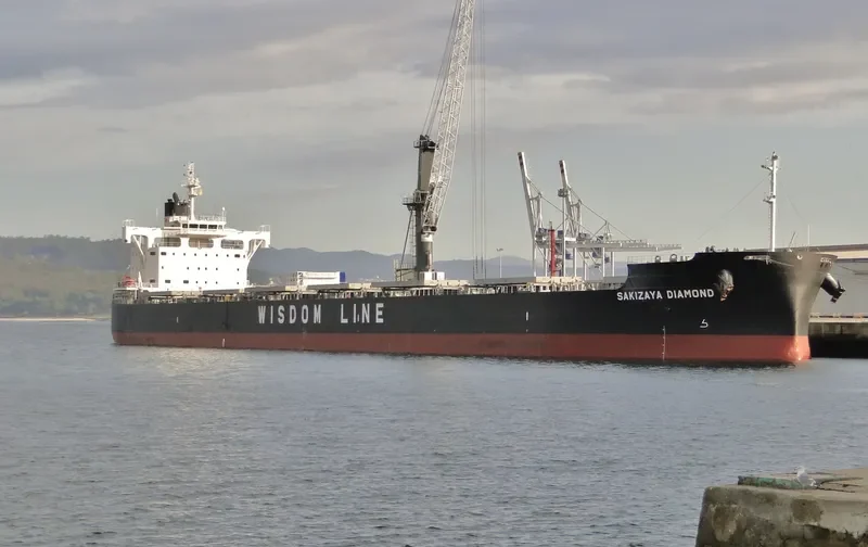 SAKIZAYA DIAMOND Bulk Carrier IMO 9697868 photo 6