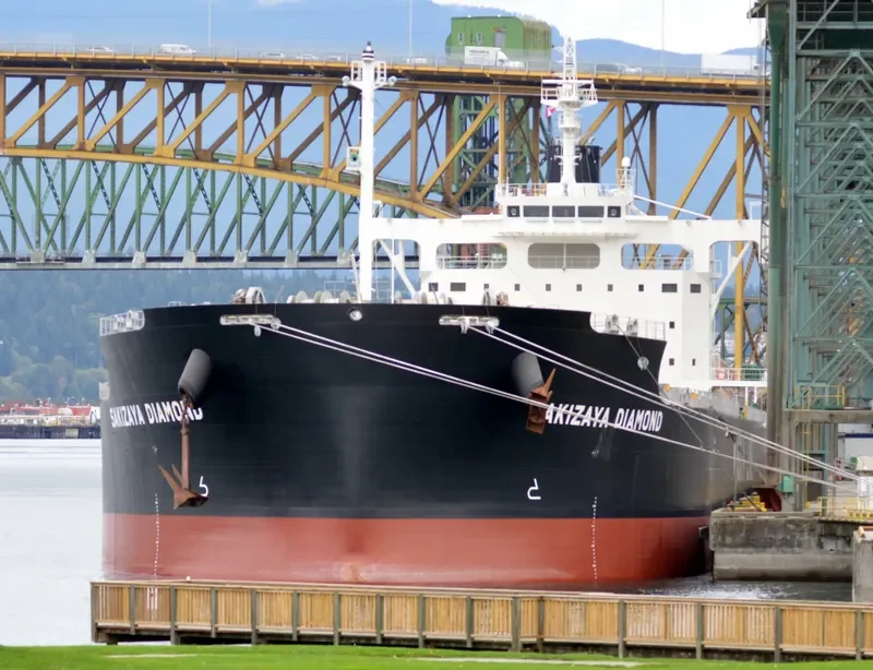 SAKIZAYA DIAMOND Bulk Carrier IMO 9697868 photo 7