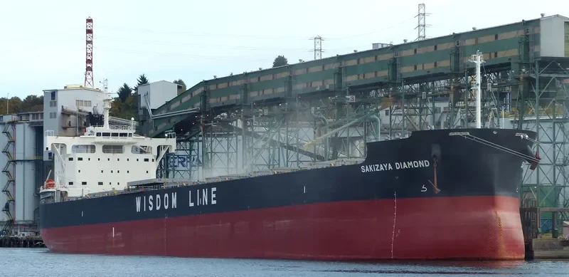 SAKIZAYA DIAMOND Bulk Carrier IMO 9697868 photo 8