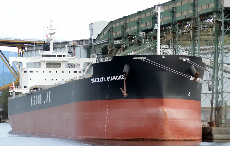SAKIZAYA DIAMOND Bulk Carrier IMO 9697868 photo 9