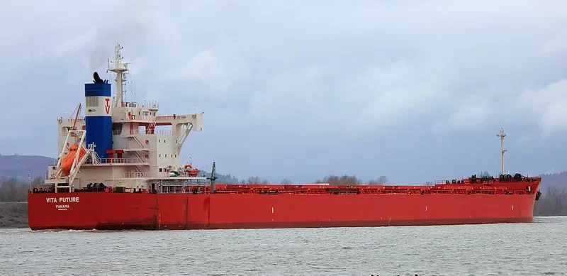 VITA FUTURE Bulk Carrier IMO 9697870