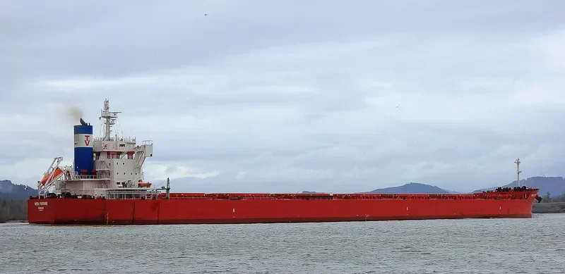 VITA FUTURE Bulk Carrier IMO 9697870 photo 2