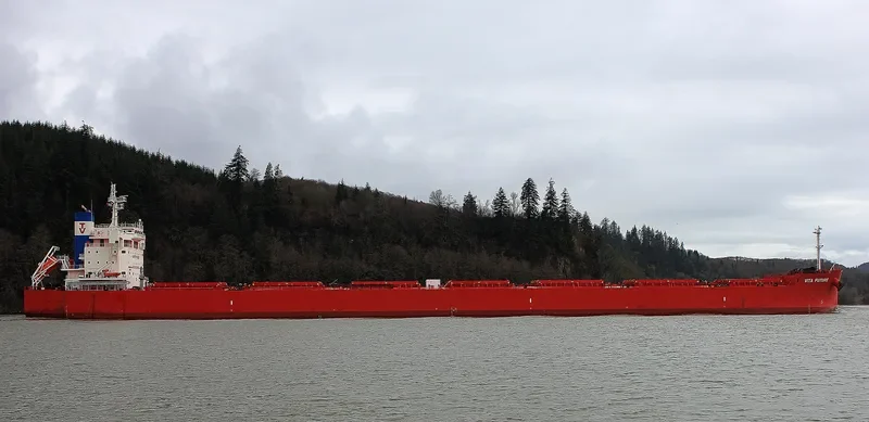 VITA FUTURE Bulk Carrier IMO 9697870 photo 3