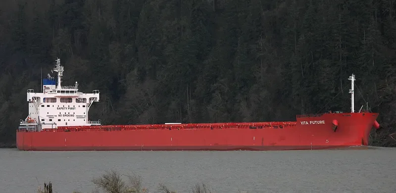 VITA FUTURE Bulk Carrier IMO 9697870 photo 4