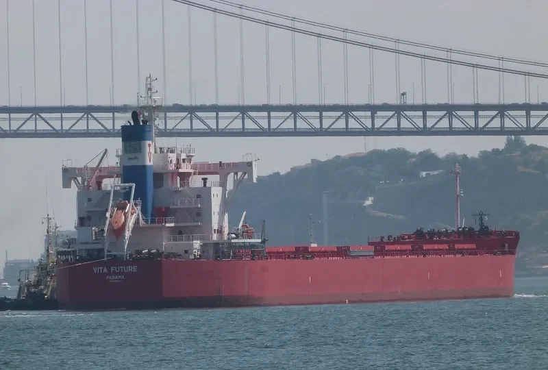 VITA FUTURE Bulk Carrier IMO 9697870 photo 5