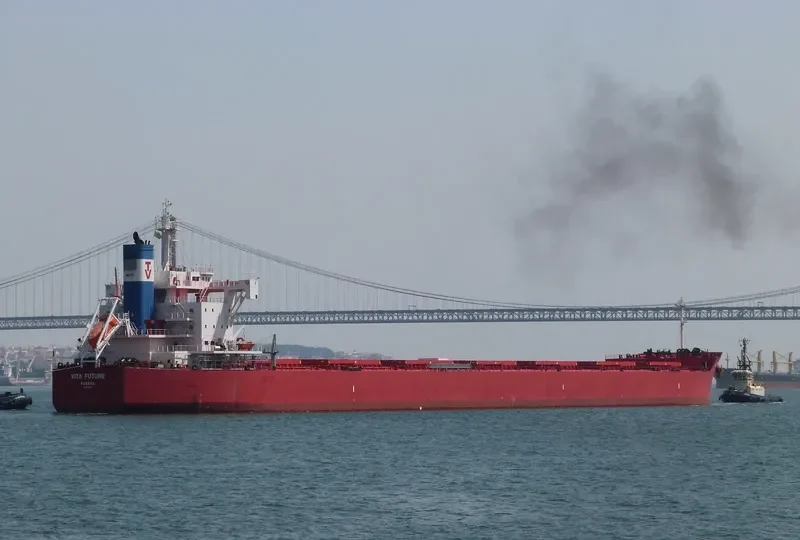 VITA FUTURE Bulk Carrier IMO 9697870 photo 6