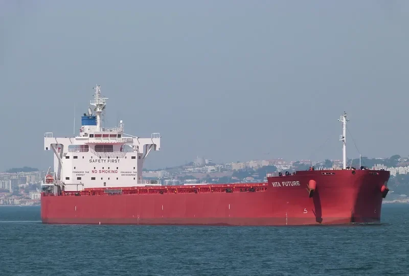 VITA FUTURE Bulk Carrier IMO 9697870 photo 7