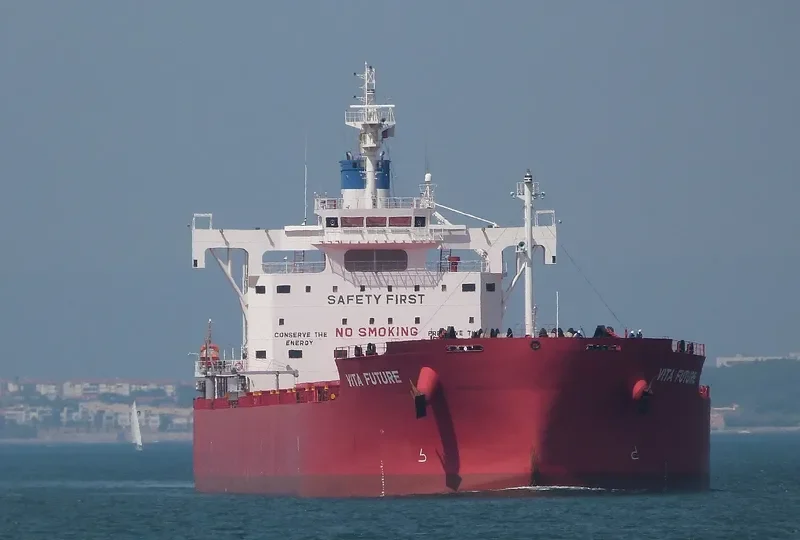 VITA FUTURE Bulk Carrier IMO 9697870 photo 8