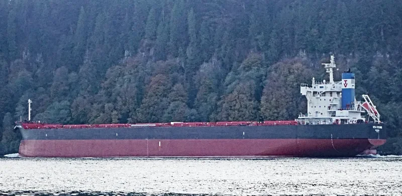 VITA FUTURE Bulk Carrier IMO 9697870 photo 10