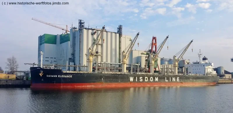 DAIWAN ELEGANCE Bulk Carrier IMO 9697894