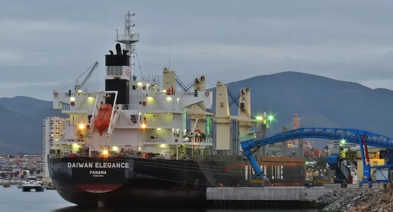 DAIWAN ELEGANCE Bulk Carrier IMO 9697894 photo 2