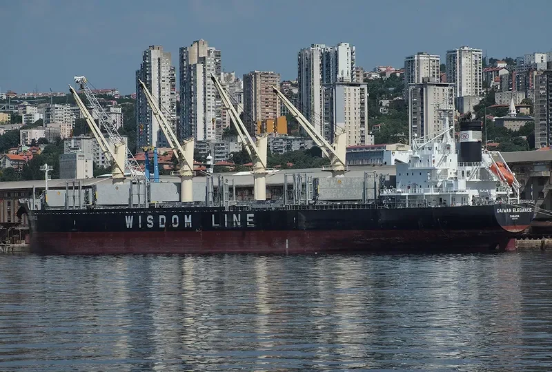 DAIWAN ELEGANCE Bulk Carrier IMO 9697894 photo 4