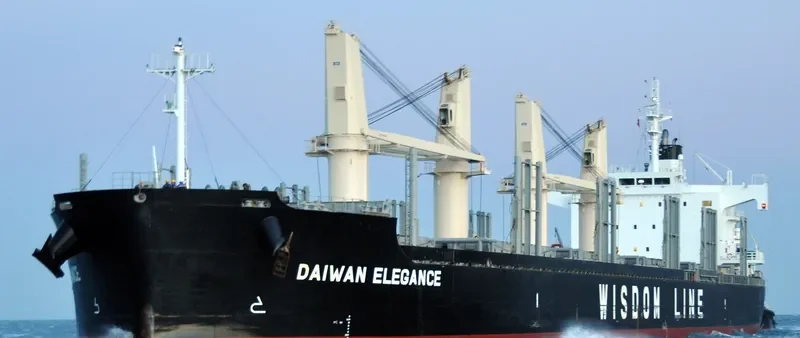 DAIWAN ELEGANCE Bulk Carrier IMO 9697894 photo 7