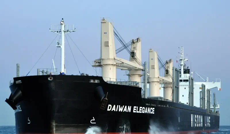 DAIWAN ELEGANCE Bulk Carrier IMO 9697894 photo 8