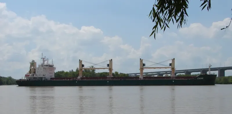 CARME Bulk Carrier IMO 9697961 photo 2