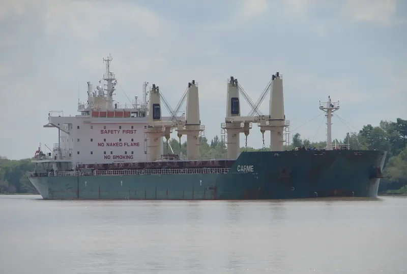 CARME Bulk Carrier IMO 9697961 photo 4