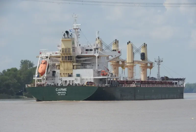 CARME Bulk Carrier IMO 9697961 photo 6